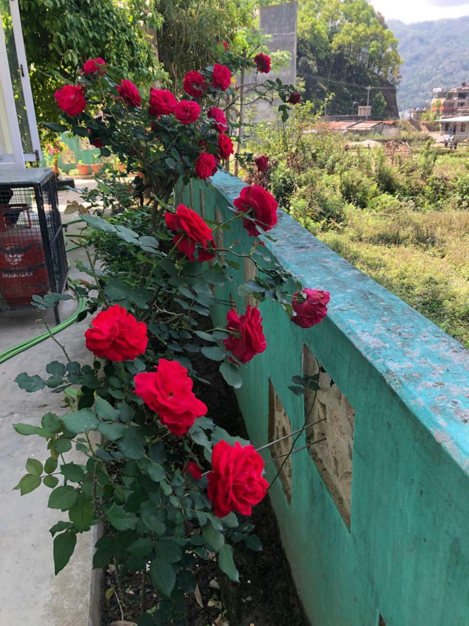 Happy Sedi Lodge Pokhara Exterior foto